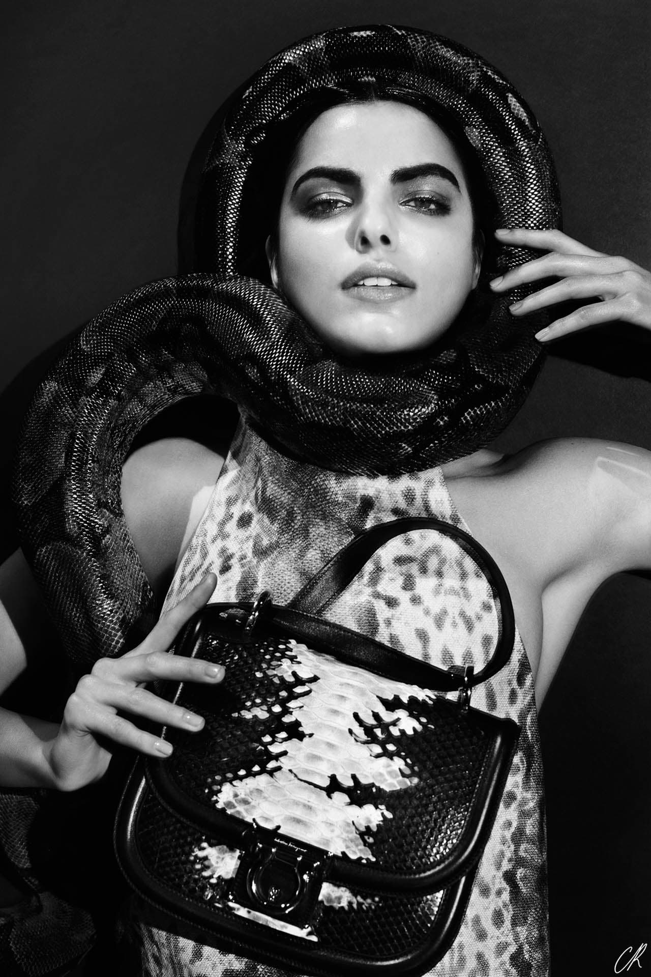 Year of the snake 蛇年看蛇纹皮包 | YF时尚解析