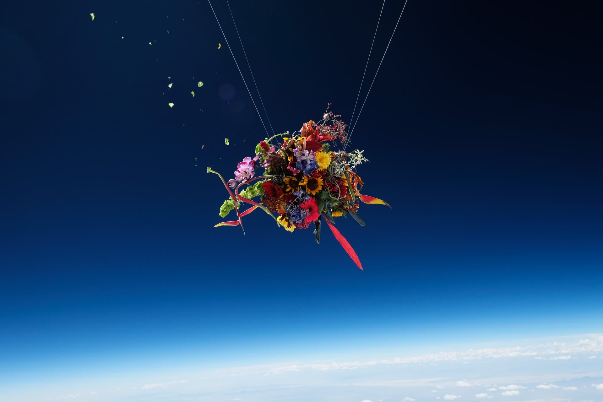 Azuma Makoto 的花艺太空之旅第四期 | YF时尚解析