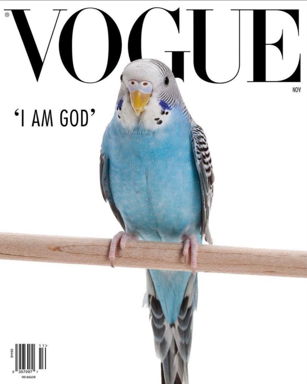 Scott King & Vogue 时尚杂志封面，摄影师作品展示