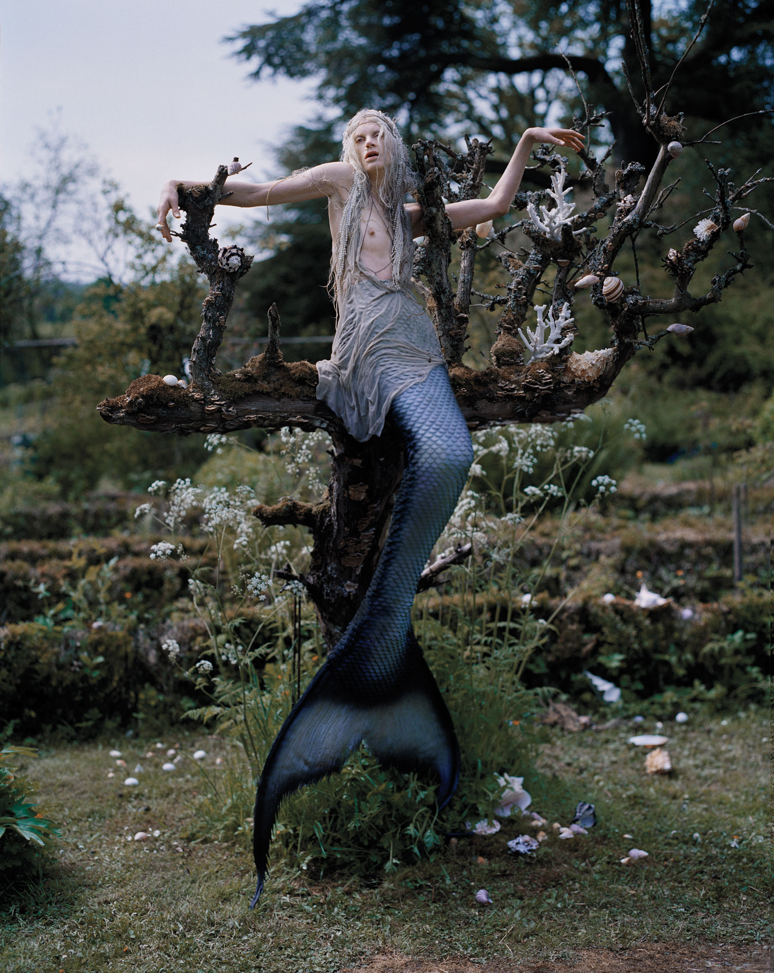 Far Far From Land 13