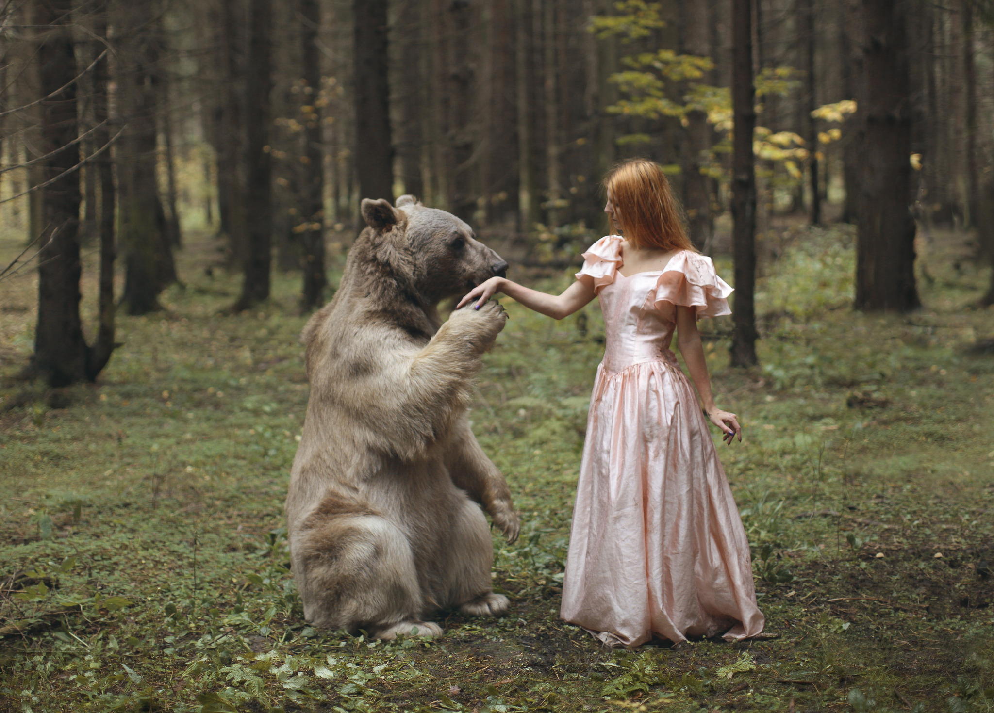 Well-hello-Mr-Bear-03