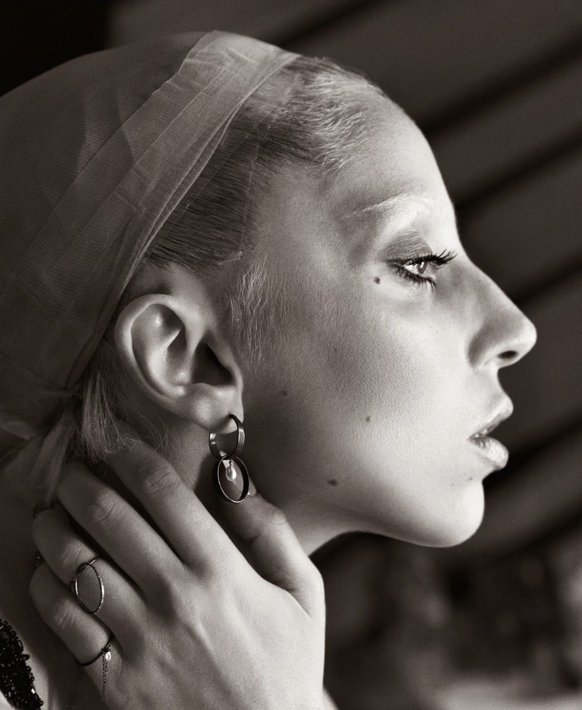 lady-gaga-by-inez-van-lamsweerde-vinoodh-matadin-for-porter-magazine-2-summer-2014-8