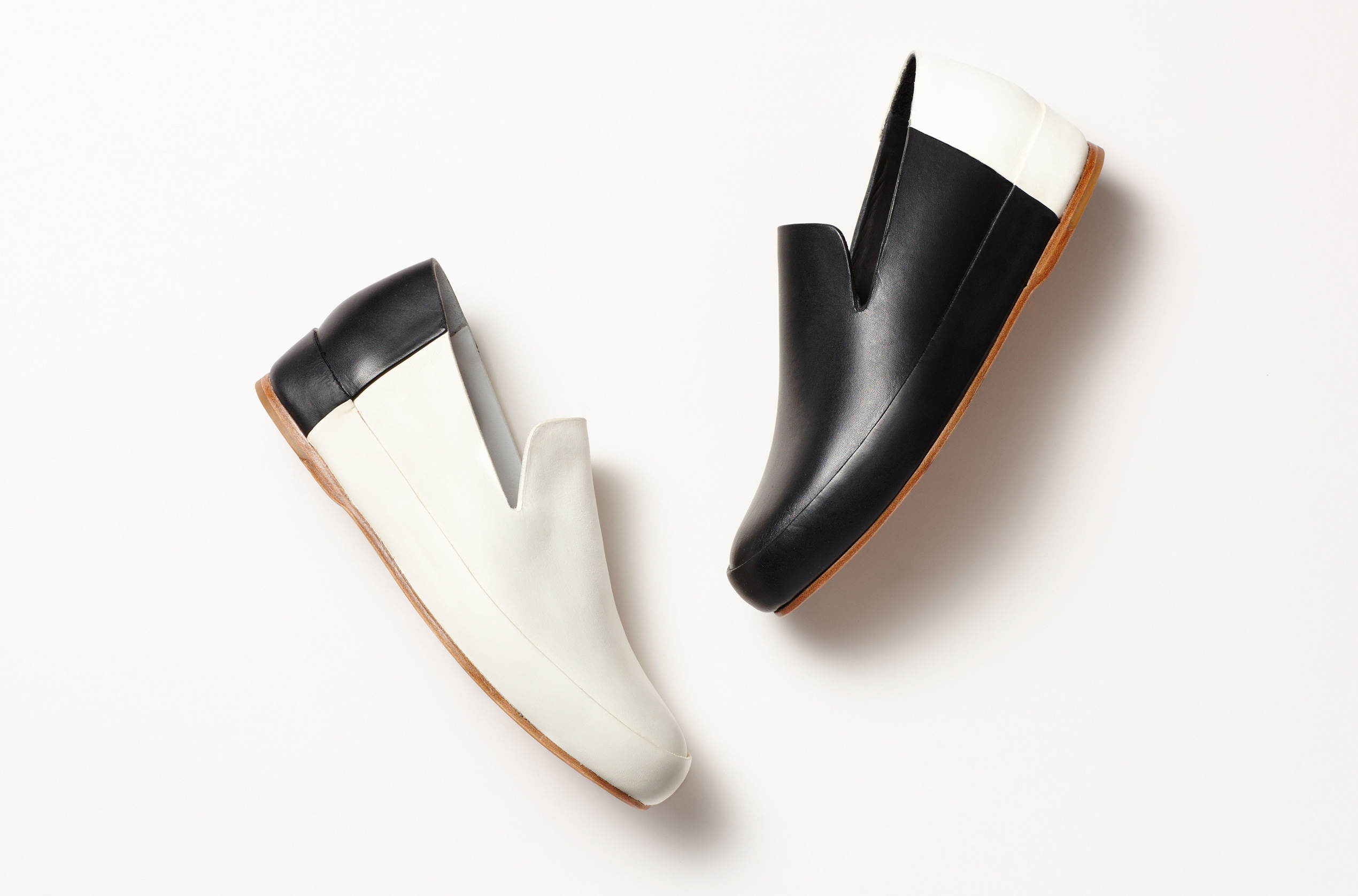 slipper_bicolor_hero